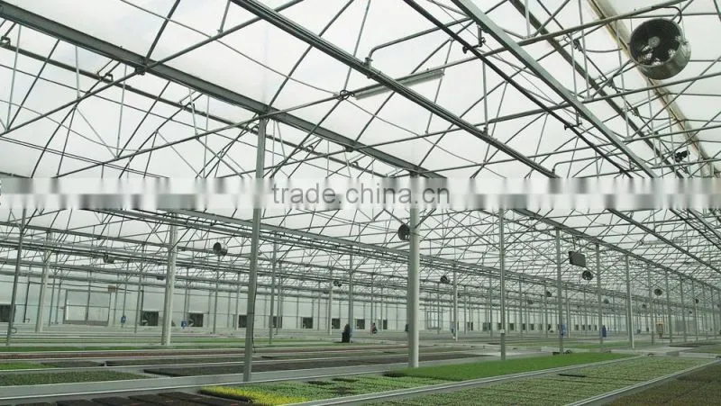 high quality auto blackout multi span greenhouse for sale
