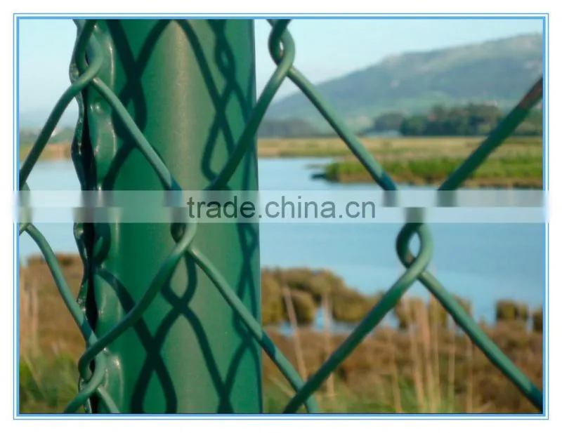 Stainless Steel Welded Wire Mesh