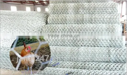 Factory galvanized hexagonal animal wire mesh