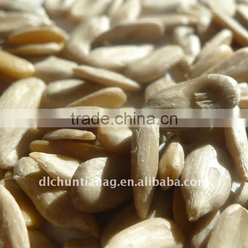 Organic chinese sunflower seed kernels
