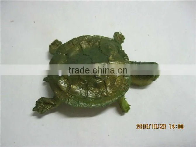 hot sell tortoise USB stick,tortoise flash memory