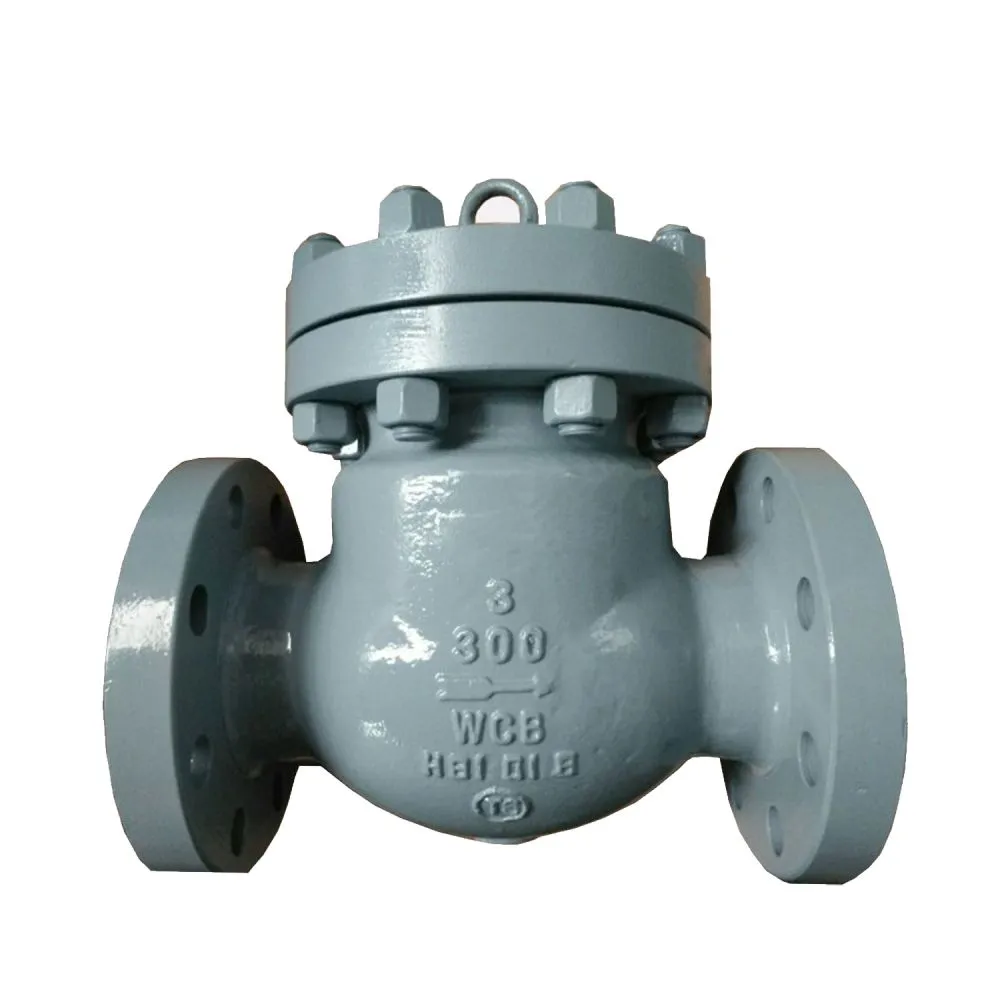 api check valve-4