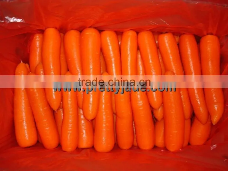 2013 fresh carrot