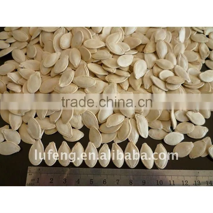 New Crop 2012 Chinese Green Pumpkin Seed kernel