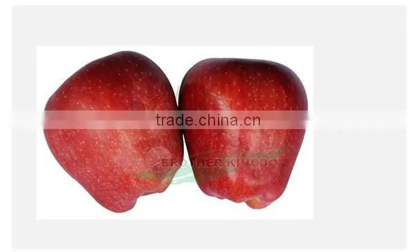 huaniu apple/ red delicious apple