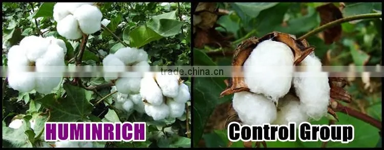Huminrich Shenyang Organic 70% Leonardite Humic Acid Controlled Slow Release Prill Fertilizer For Saline Soil