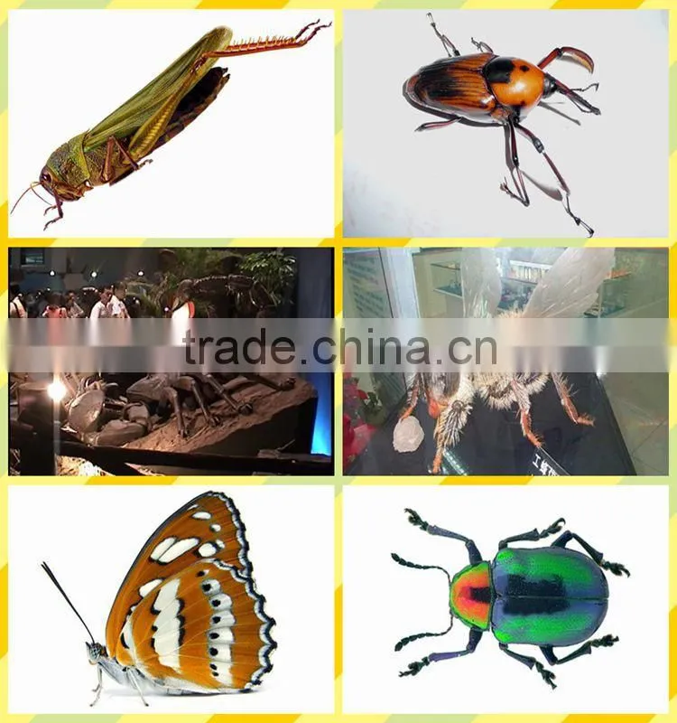 Gaint insect robot models on sale