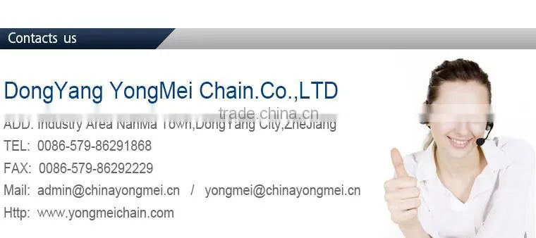 motorcycle chain