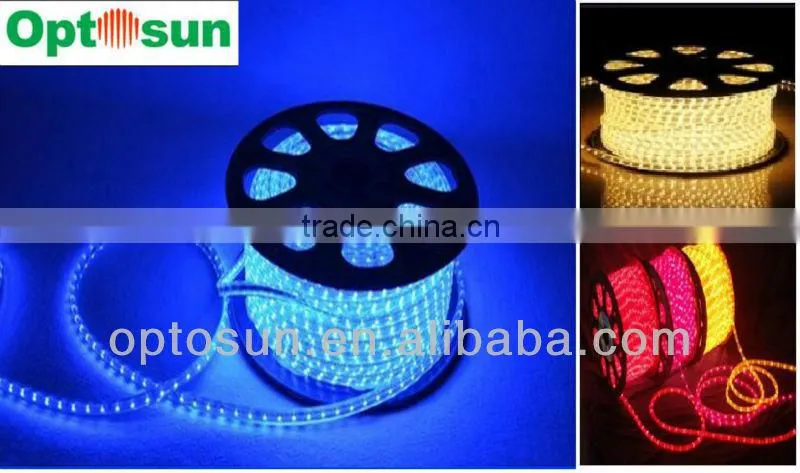 LED With CE RoHS certification house decoration wateproof DC12V 24V AC220V LED rope light