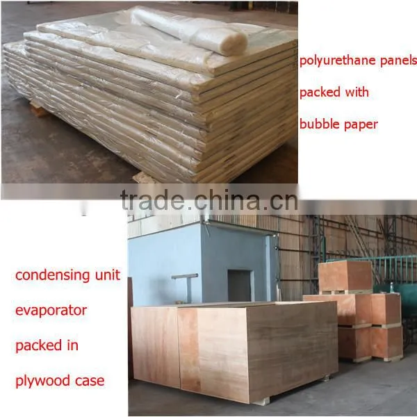Fruits and vegetables cold storage by PU insulation panels