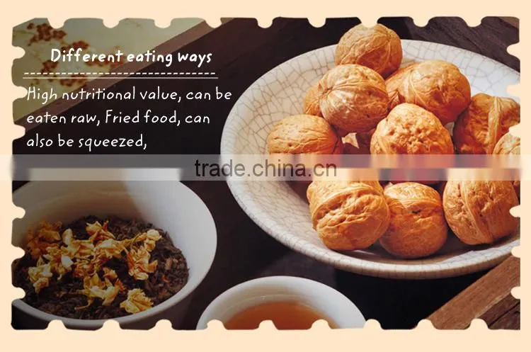 New crop dried fruit walnut