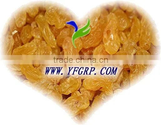 Dried fruit---Flame/Thompson/Sultana raisins ---HOT OFFERS