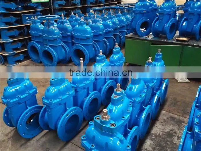 Dual Plate Check Valve with Stainless Steel Disc