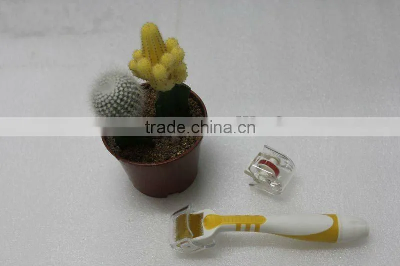 professional derma roller with charger use L001