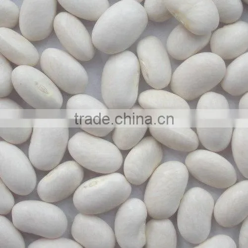 Japan Style White Beans