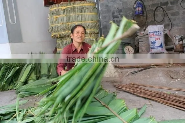 Fresh big size bamboo leaf