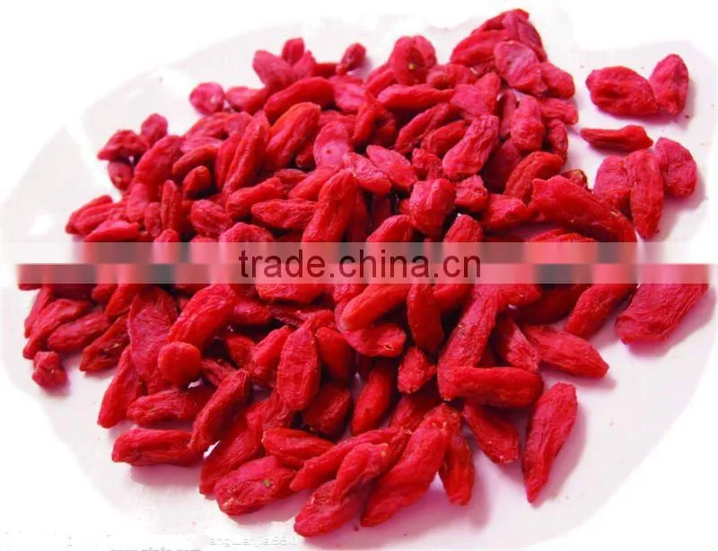 superfine china barbary wolfberry fruit