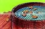 Aquascape multi-purpose Pond Cover Pond Netting