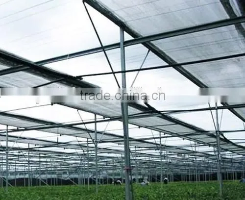 Greenhouse inside sunshade net for agriculture