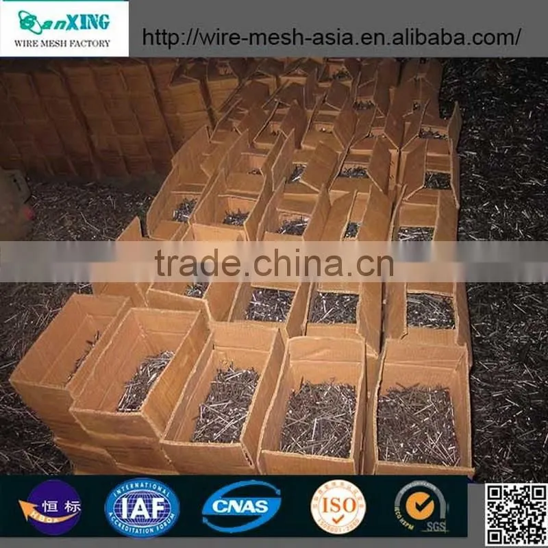 Gang nail plate common nail sizes/common nail factory