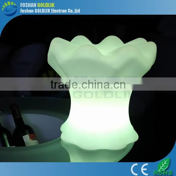 Indoor & Outdoor LED Decoration Lights/Holiday LED Lights