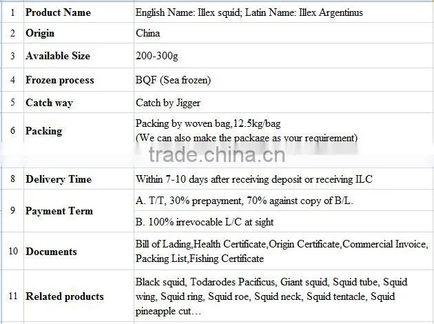 200-300g Whole Round Frozen Illex Squid