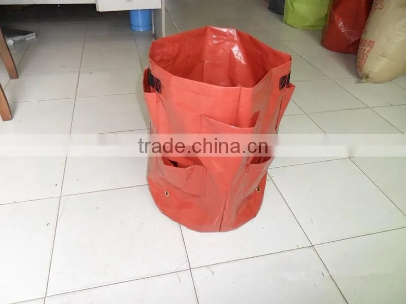 PE material strawberry planter