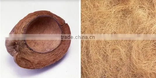 Good Elastic Natrual Rubberized coir sheet for mattress and cushion