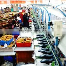 Wuhan Betty Cha-Cha Dance Articles Co., Ltd. company overview - view 2