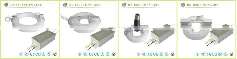 HB 24W-400W price UL induction light