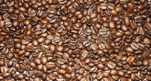 Shanghai Turkish Coffee Roaster Machine Snack Machines Product Type