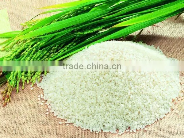 Double scales particles quantitative packing machine for salt