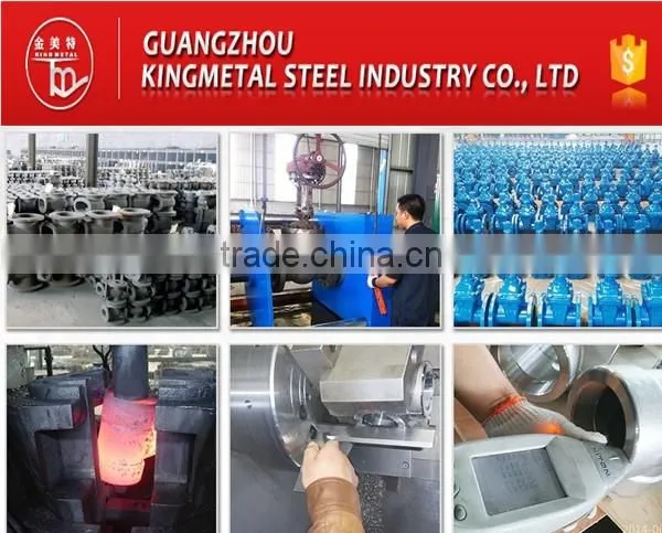 Cast Iron Check Valve Price
