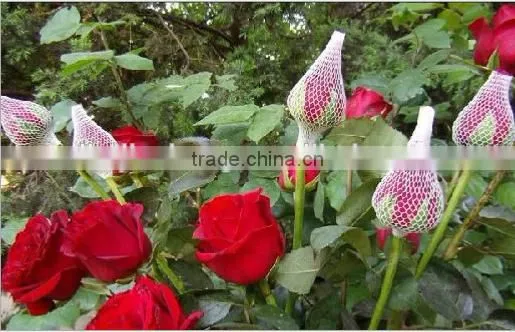 PE plastic fresh flower bud packaging net