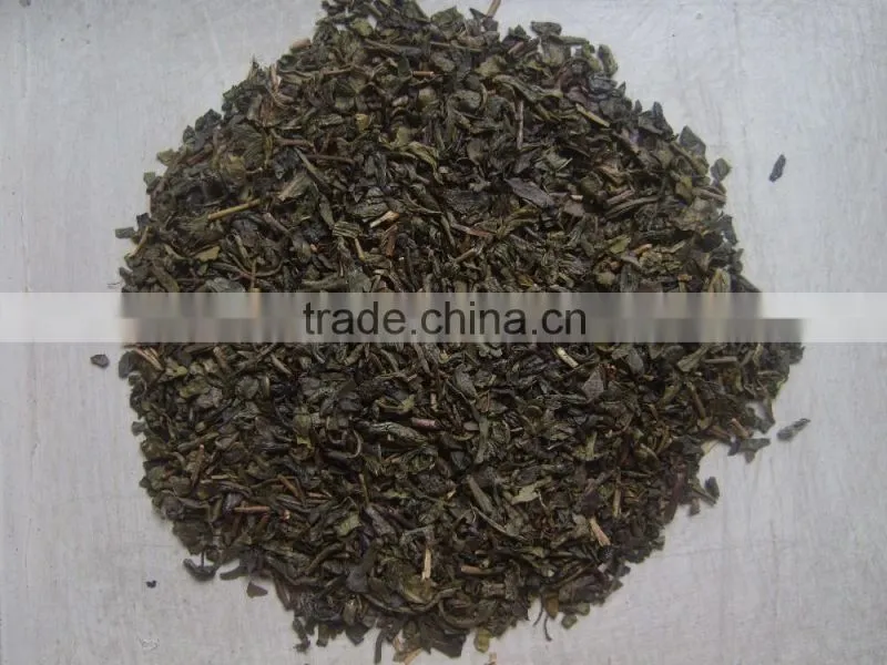 export tea from professional factory in China Gunpowder Green Tea 3505 C