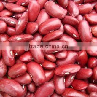 kidney beans