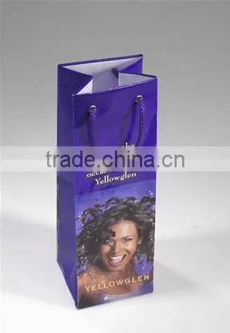 2013 Fashion Plastic Shopping Bag/Wine bottle Bag
