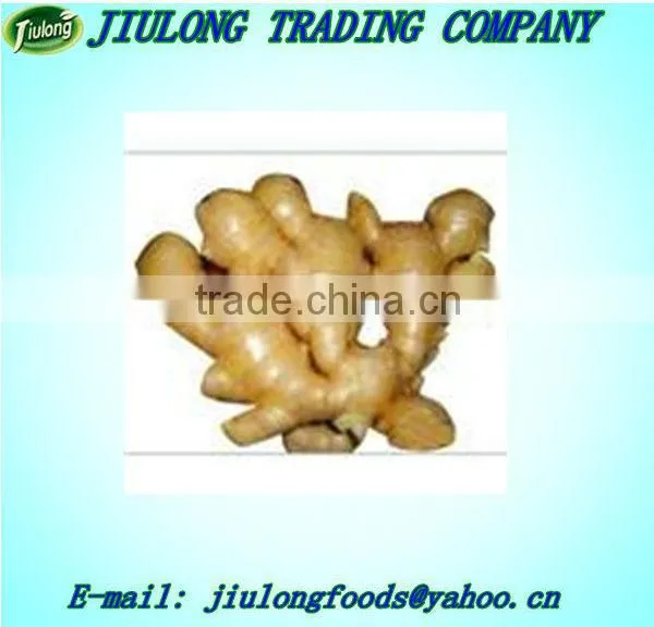 Fresh ginger price price
