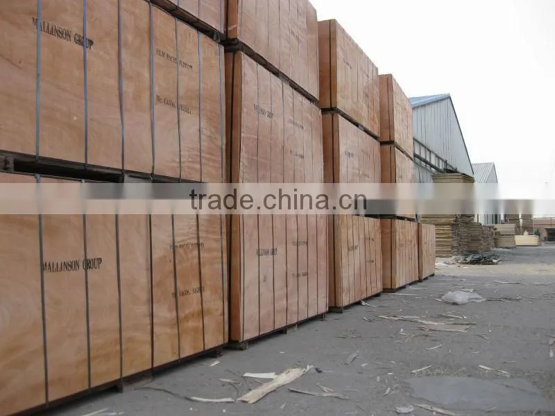 osb board in sale