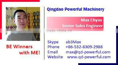 Drop Forged US TYpe G210 D Shackle with Screw Pin