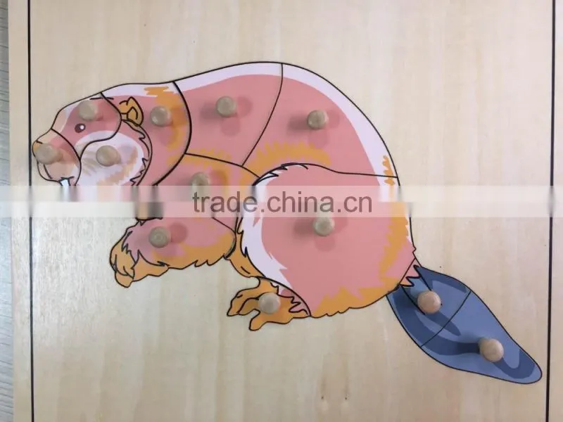 arabic educational toys