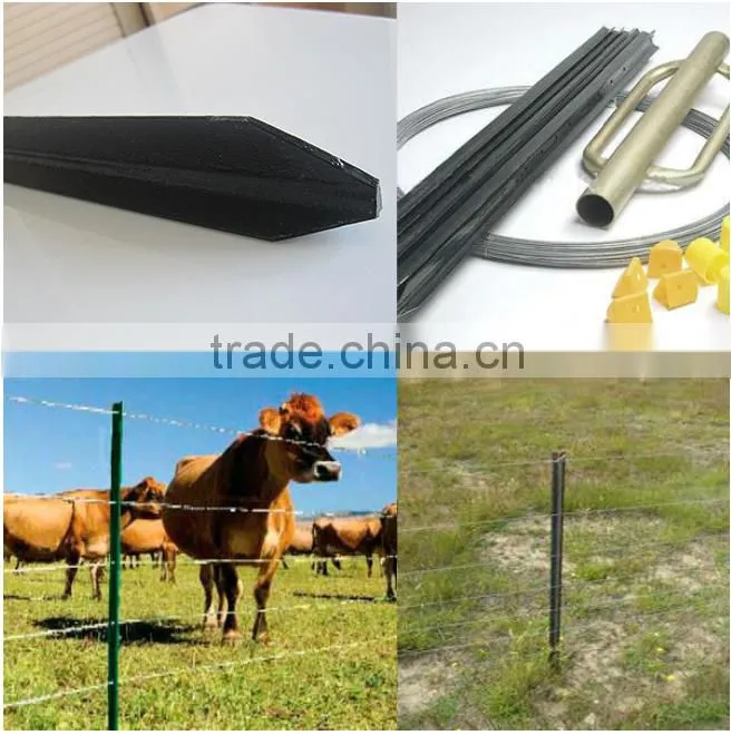 Super high quality metal Y post most popular