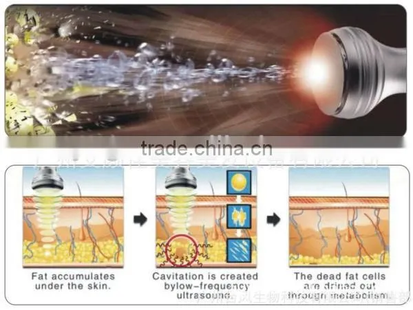 GS-15 Strong ultrasonic cavitation liposuction machine/equipment for sale
