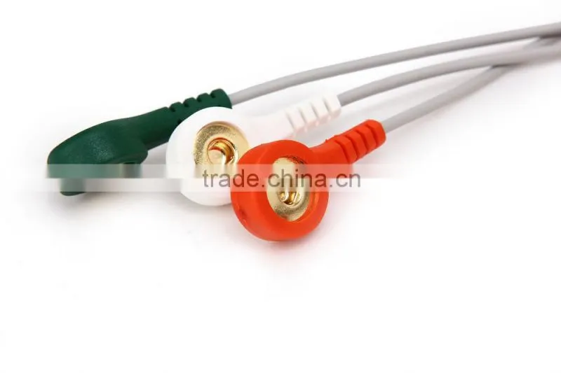 Holter System-ECGLAB-Shelly