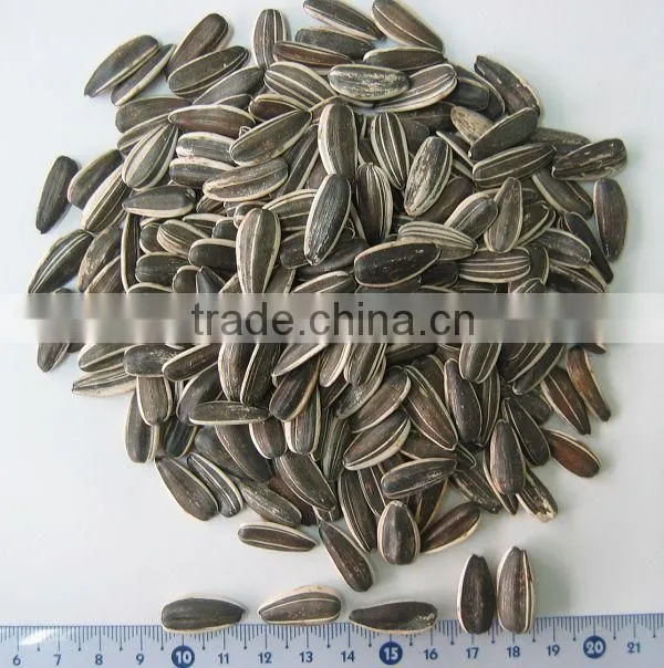 wholesale delicious red watermelon seeds