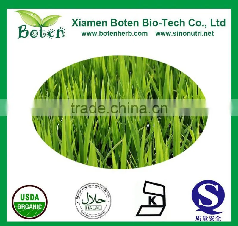 Natural Highland barley Wheatgrass juice extract/barley Wheatgrass extract/ wheatgrass powder/