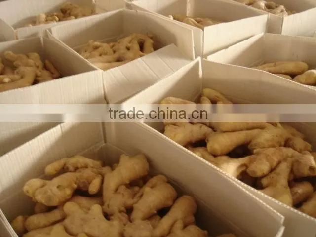 Organic fresh ginger