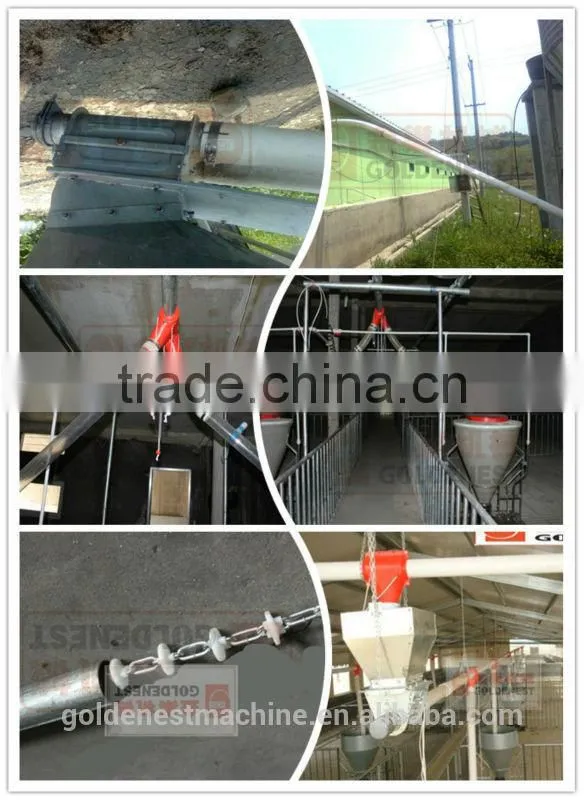 ^*Metering boars pig feeder feeding system can control feed