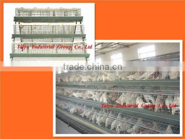 layer poultry cages for Nigeria/africa