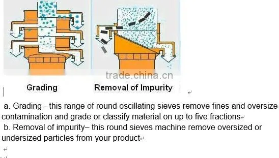 Rotary Vibrating Screen Sieving Machine for Dehydrated Dried Sour Cream Onion Powder